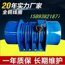 ZDS-50-6三相振動(dòng)電機(jī) 6級(jí)3.7KW全銅線圈